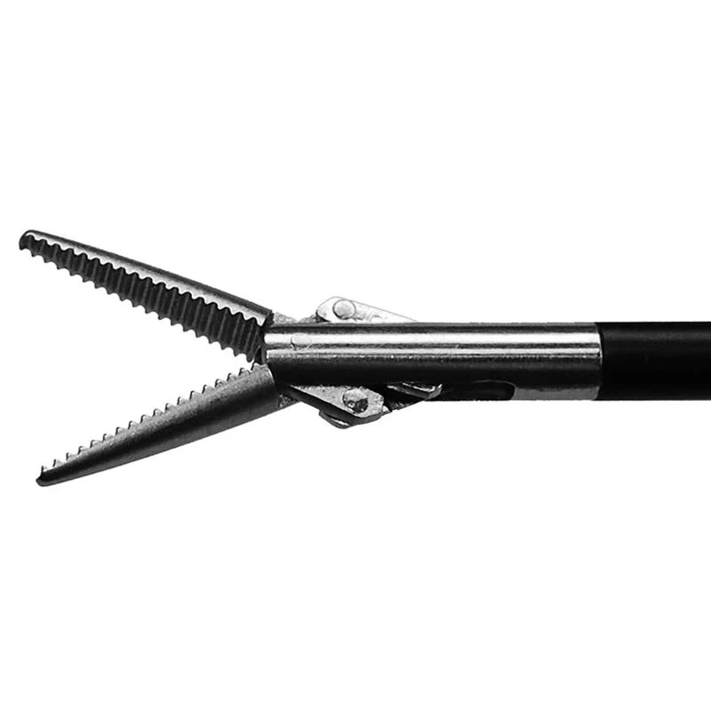 Disposable Straight Dissecting Forceps